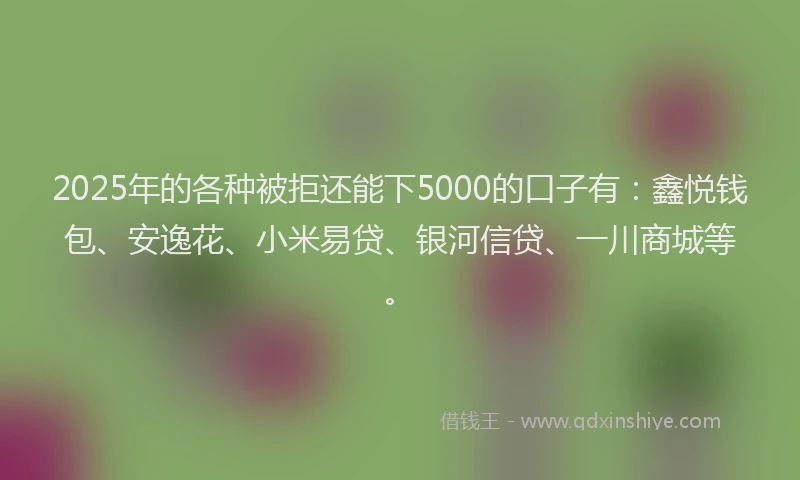 2025年的各种被拒还能下5000的口子有：鑫悦钱包、安逸花、小米易贷、银河信贷、一川商城等。