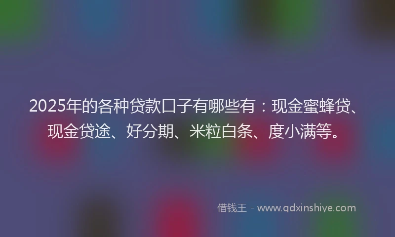 2025年的各种贷款口子有哪些有：现金蜜蜂贷、现金贷途、好分期、米粒白条、度小满等。
