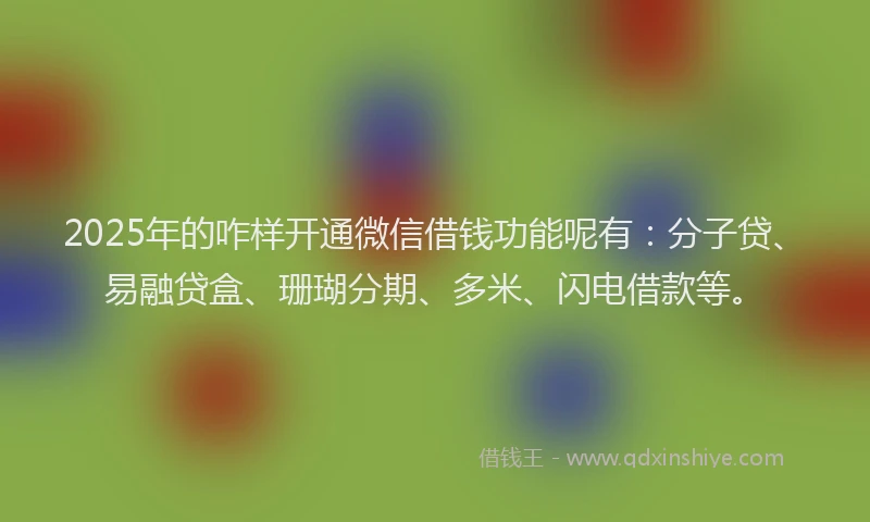 2025年的咋样开通微信借钱功能呢有：分子贷、易融贷盒、珊瑚分期、多米、闪电借款等。