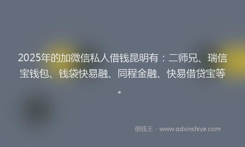 2025年的加微信私人借钱昆明有：二师兄、瑞信宝钱包、钱袋快易融、同程金融、快易借贷宝等。
