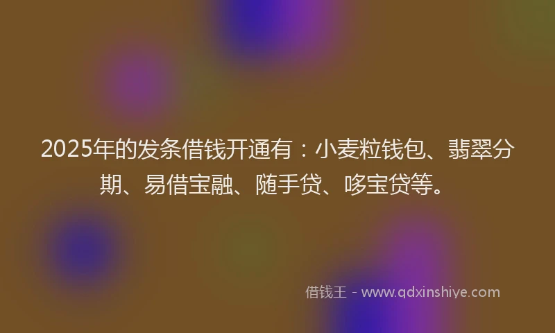 2025年的发条借钱开通有：小麦粒钱包、翡翠分期、易借宝融、随手贷、哆宝贷等。