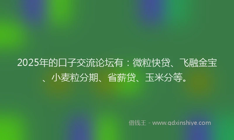 2025年的口子交流论坛有：微粒快贷、飞融金宝、小麦粒分期、省薪贷、玉米分等。