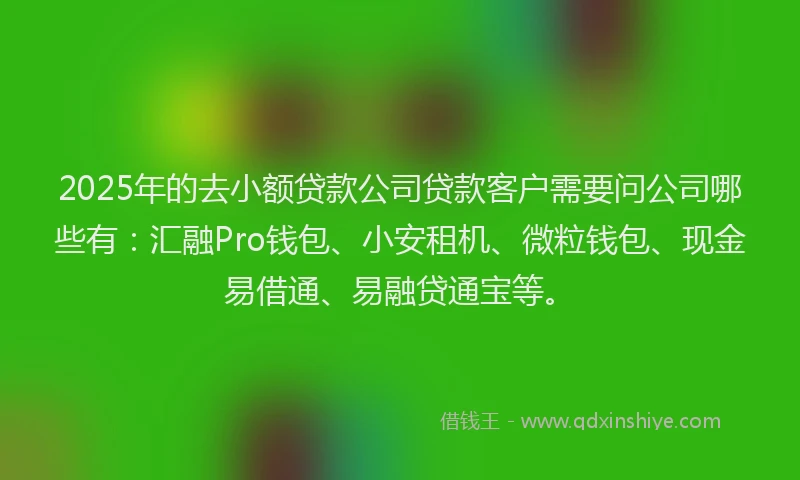 2025年的去小额贷款公司贷款客户需要问公司哪些有：汇融Pro钱包、小安租机、微粒钱包、现金易借通、易融贷通宝等。
