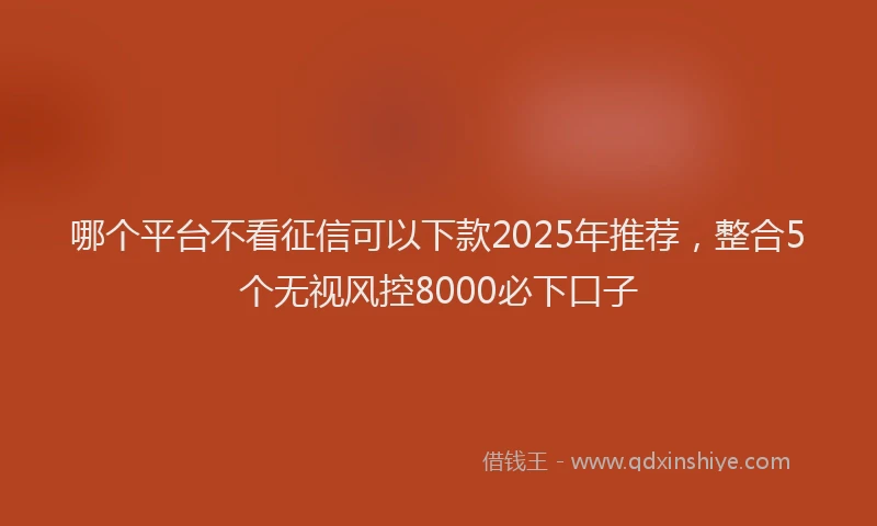 哪个平台不看征信可以下款2025年推荐，整合5个无视风控8000必下口子
