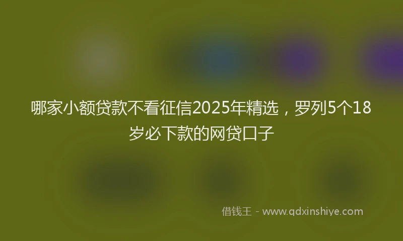 哪家小额贷款不看征信2025年精选，罗列5个18岁必下款的网贷口子