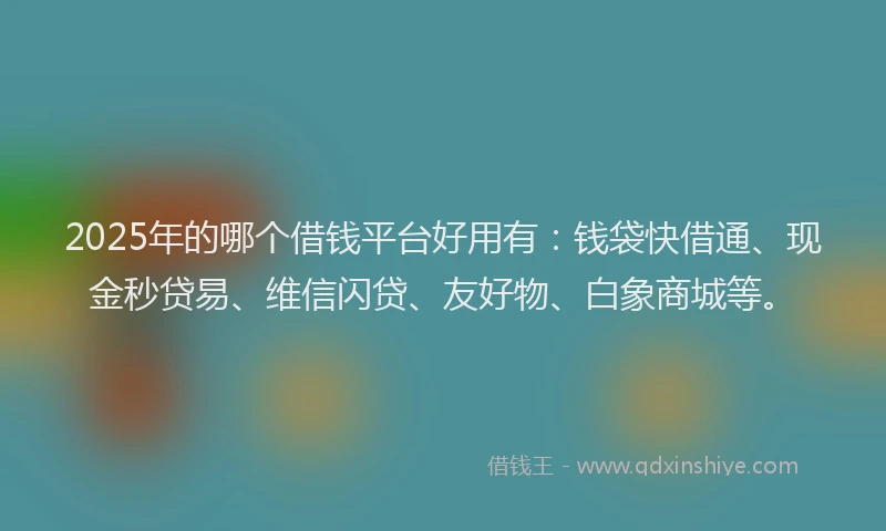 2025年的哪个借钱平台好用有：钱袋快借通、现金秒贷易、维信闪贷、友好物、白象商城等。