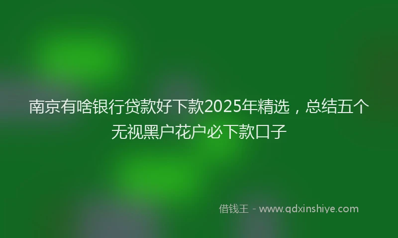 南京有啥银行贷款好下款2025年精选，总结五个无视黑户花户必下款口子