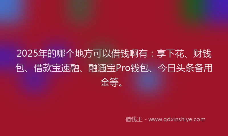 2025年的哪个地方可以借钱啊有：享下花、财钱包、借款宝速融、融通宝Pro钱包、今日头条备用金等。