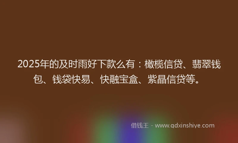 2025年的及时雨好下款么有：橄榄信贷、翡翠钱包、钱袋快易、快融宝盒、紫晶信贷等。