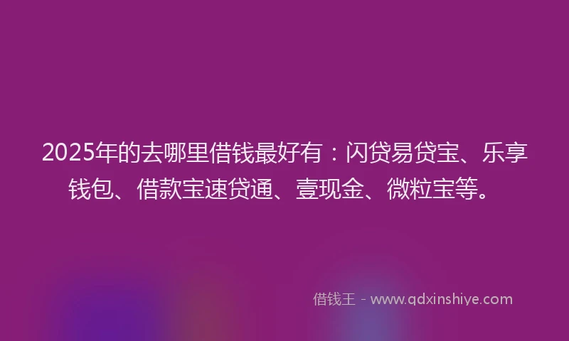 2025年的去哪里借钱最好有：闪贷易贷宝、乐享钱包、借款宝速贷通、壹现金、微粒宝等。