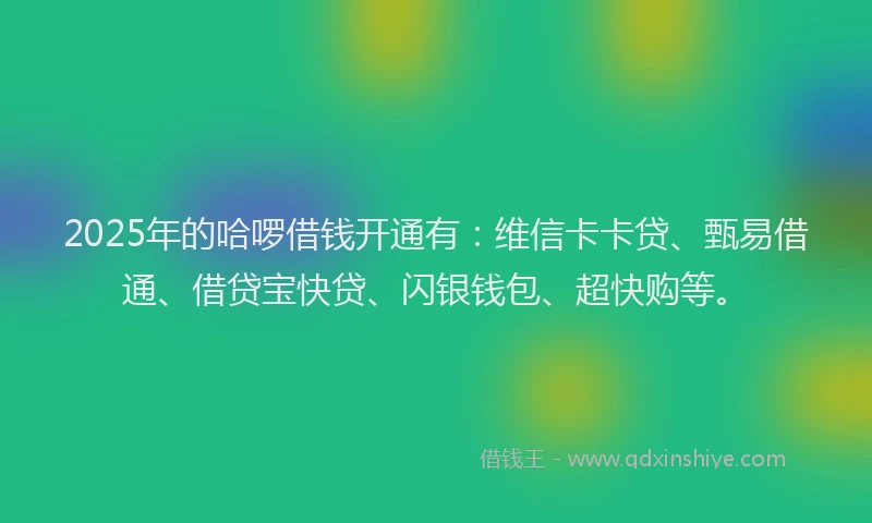 2025年的哈啰借钱开通有：维信卡卡贷、甄易借通、借贷宝快贷、闪银钱包、超快购等。
