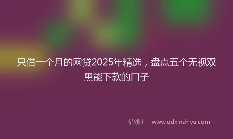 只借一个月的网贷2025年精选，盘点五个无视双黑能下款的口子