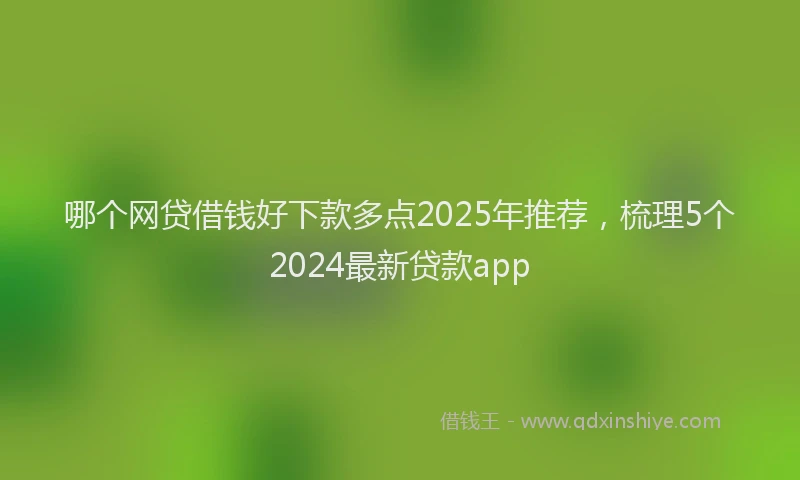哪个网贷借钱好下款多点2025年推荐，梳理5个2024最新贷款app
