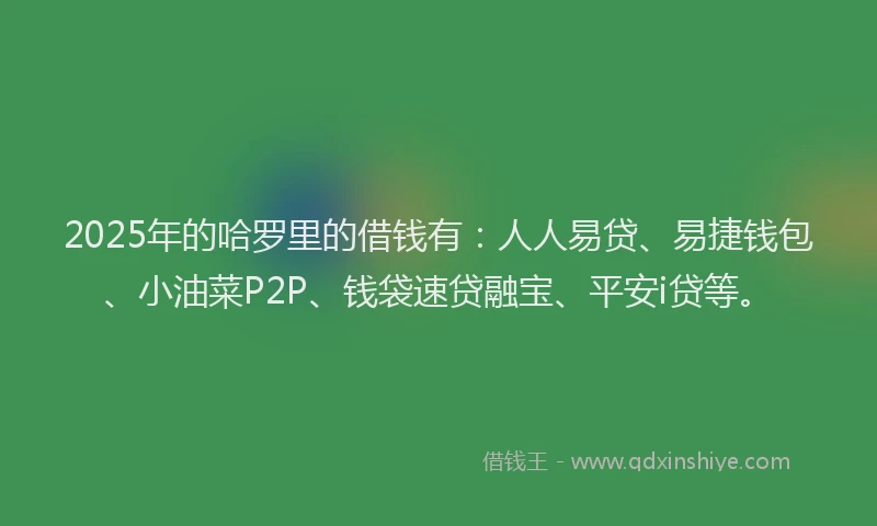 2025年的哈罗里的借钱有：人人易贷、易捷钱包、小油菜P2P、钱袋速贷融宝、平安i贷等。