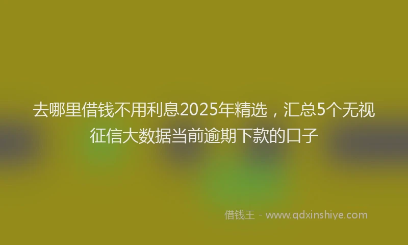 去哪里借钱不用利息2025年精选，汇总5个无视征信大数据当前逾期下款的口子