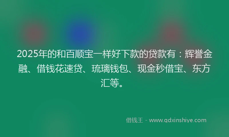 2025年的和百顺宝一样好下款的贷款有：辉誉金融、借钱花速贷、琉璃钱包、现金秒借宝、东方汇等。