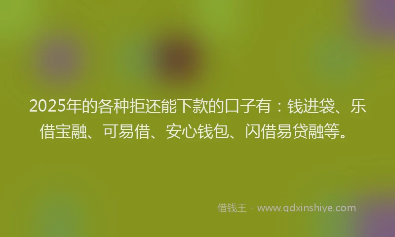 2025年的各种拒还能下款的口子有：钱进袋、乐借宝融、可易借、安心钱包、闪借易贷融等。