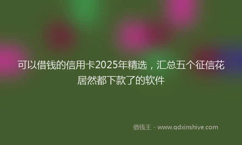 可以借钱的信用卡2025年精选，汇总五个征信花居然都下款了的软件