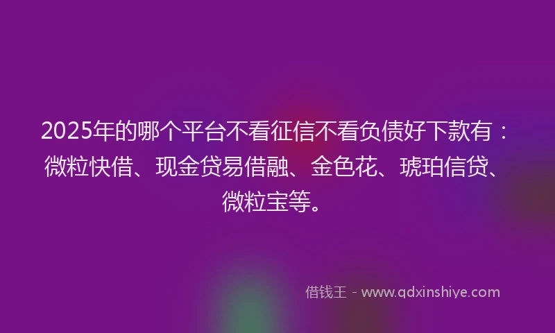2025年的哪个平台不看征信不看负债好下款有：微粒快借、现金贷易借融、金色花、琥珀信贷、微粒宝等。