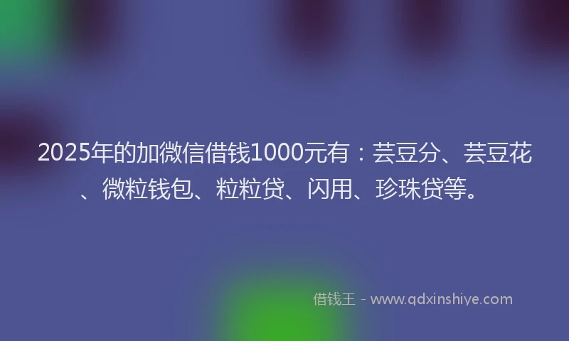 2025年的加微信借钱1000元有：芸豆分、芸豆花、微粒钱包、粒粒贷、闪用、珍珠贷等。