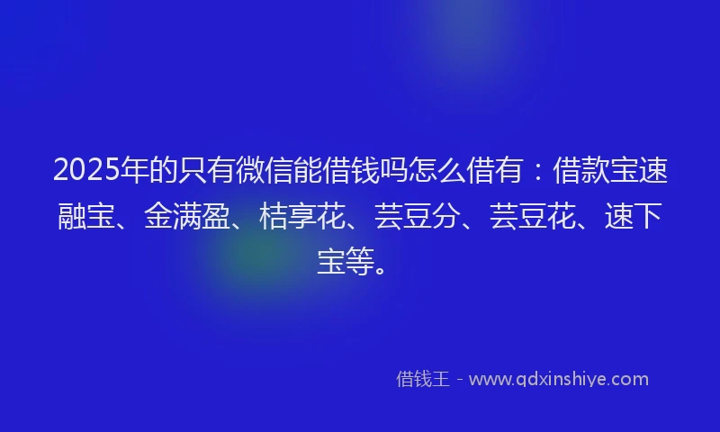2025年的只有微信能借钱吗怎么借有：借款宝速融宝、金满盈、桔享花、芸豆分、芸豆花、速下宝等。