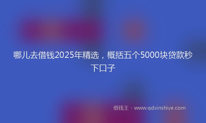 哪儿去借钱2025年精选，概括五个5000块贷款秒下口子