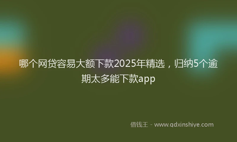 哪个网贷容易大额下款2025年精选，归纳5个逾期太多能下款app