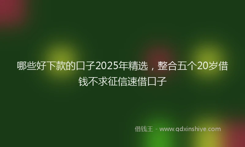 哪些好下款的口子2025年精选，整合五个20岁借钱不求征信速借口子