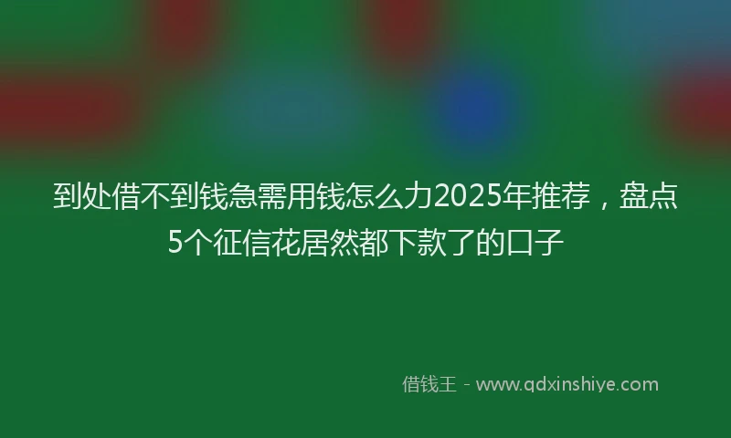 到处借不到钱急需用钱怎么力2025年推荐，盘点5个征信花居然都下款了的口子