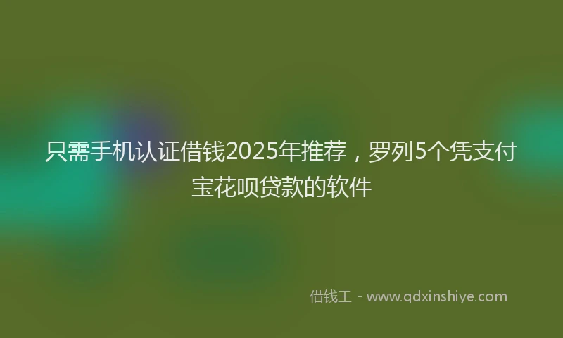 只需手机认证借钱2025年推荐，罗列5个凭支付宝花呗贷款的软件