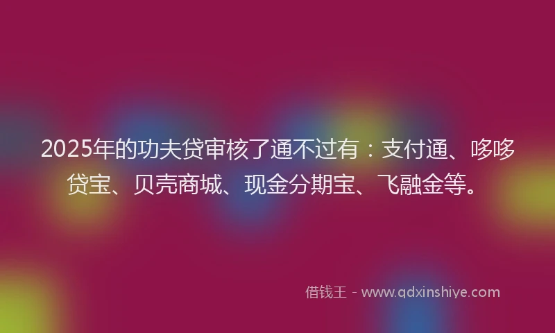 2025年的功夫贷审核了通不过有：支付通、哆哆贷宝、贝壳商城、现金分期宝、飞融金等。