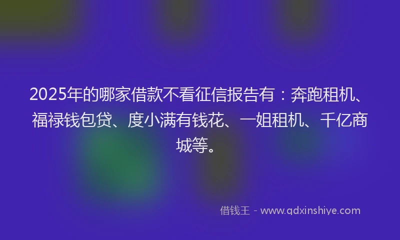 2025年的哪家借款不看征信报告有：奔跑租机、福禄钱包贷、度小满有钱花、一姐租机、千亿商城等。