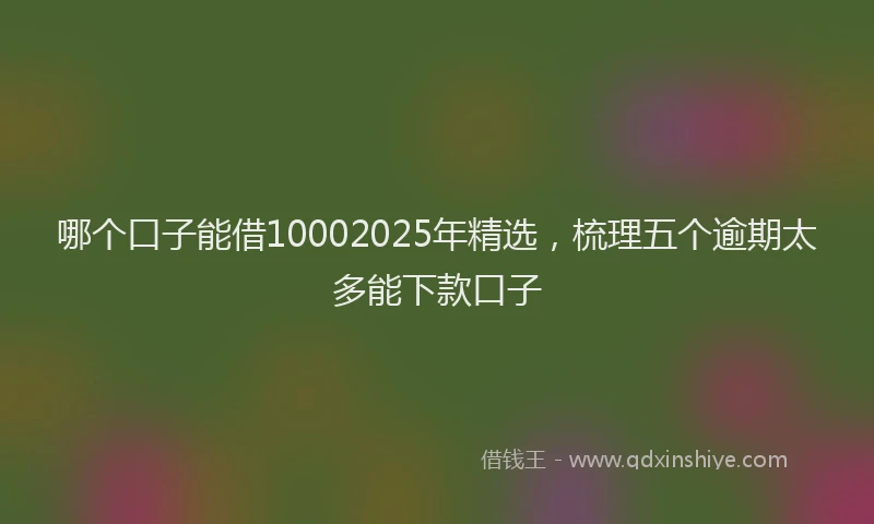 哪个口子能借10002025年精选，梳理五个逾期太多能下款口子