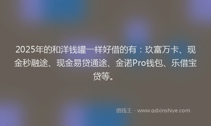 2025年的和洋钱罐一样好借的有：玖富万卡、现金秒融途、现金易贷通途、金诺Pro钱包、乐借宝贷等。