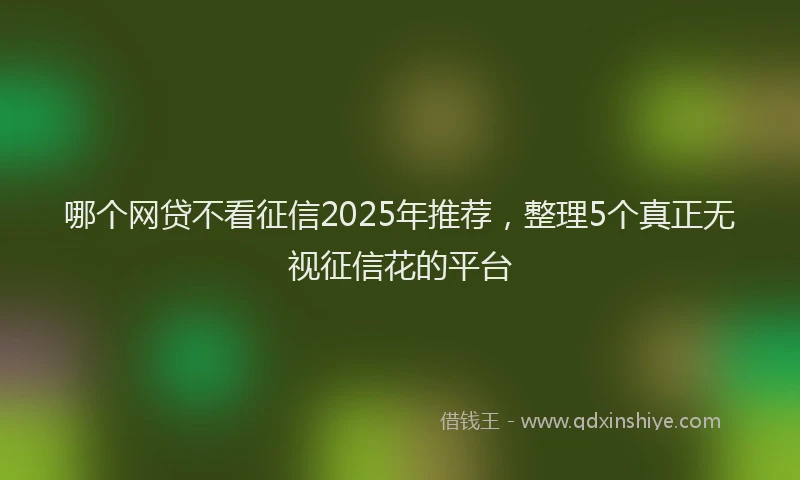 哪个网贷不看征信2025年推荐，整理5个真正无视征信花的平台