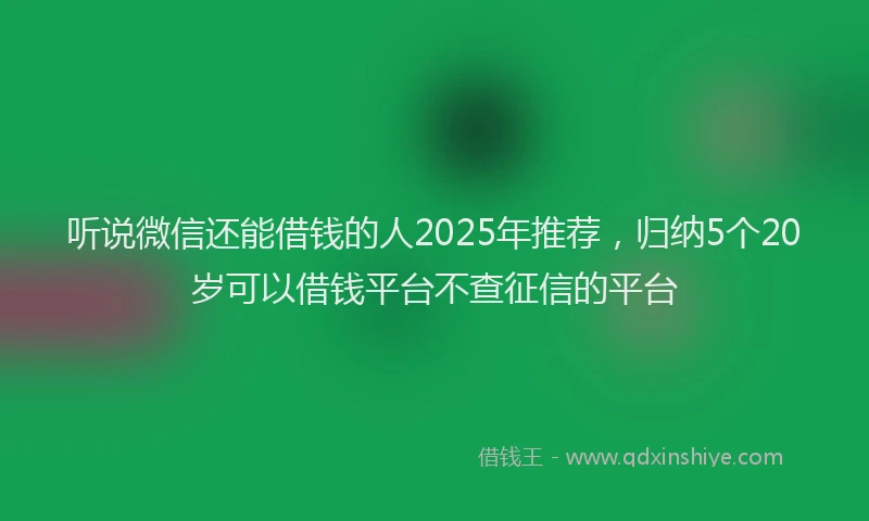 听说微信还能借钱的人2025年推荐，归纳5个20岁可以借钱平台不查征信的平台