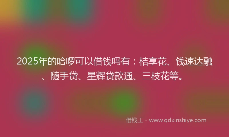 2025年的哈啰可以借钱吗有：桔享花、钱速达融、随手贷、星辉贷款通、三枝花等。