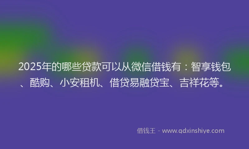 2025年的哪些贷款可以从微信借钱有：智享钱包、酷购、小安租机、借贷易融贷宝、吉祥花等。