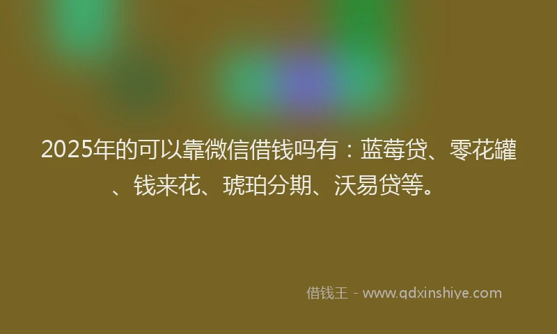 2025年的可以靠微信借钱吗有：蓝莓贷、零花罐、钱来花、琥珀分期、沃易贷等。