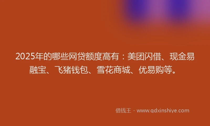 2025年的哪些网贷额度高有：美团闪借、现金易融宝、飞猪钱包、雪花商城、优易购等。