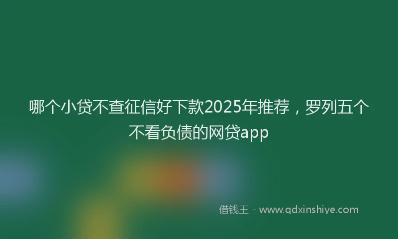 哪个小贷不查征信好下款2025年推荐，罗列五个不看负债的网贷app
