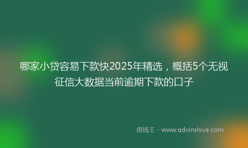 哪家小贷容易下款快2025年精选，概括5个无视征信大数据当前逾期下款的口子