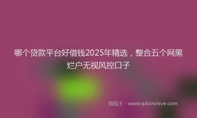 哪个贷款平台好借钱2025年精选，整合五个网黑烂户无视风控口子