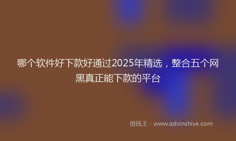 哪个软件好下款好通过2025年精选，整合五个网黑真正能下款的平台