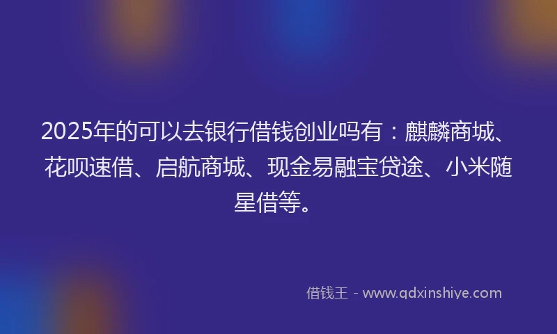 2025年的可以去银行借钱创业吗有：麒麟商城、花呗速借、启航商城、现金易融宝贷途、小米随星借等。