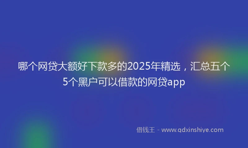哪个网贷大额好下款多的2025年精选，汇总五个5个黑户可以借款的网贷app