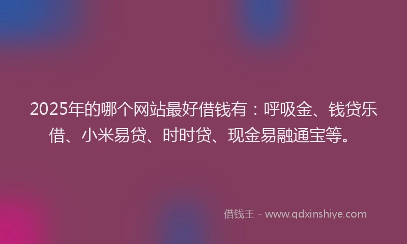 2025年的哪个网站最好借钱有：呼吸金、钱贷乐借、小米易贷、时时贷、现金易融通宝等。