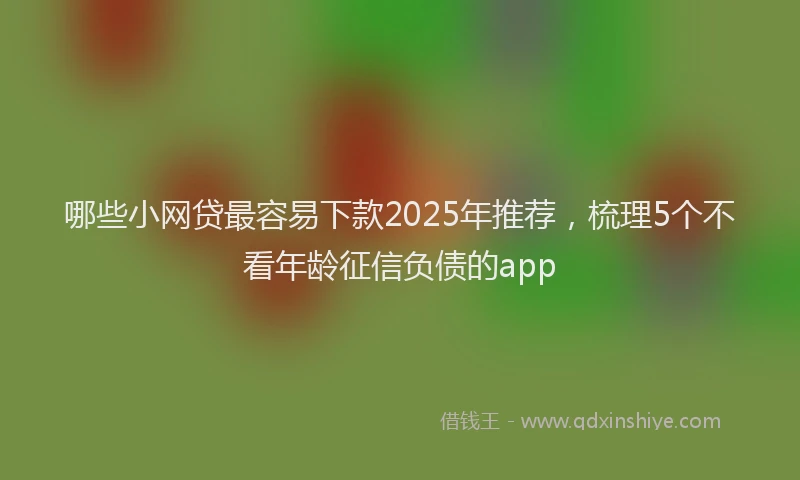 哪些小网贷最容易下款2025年推荐，梳理5个不看年龄征信负债的app