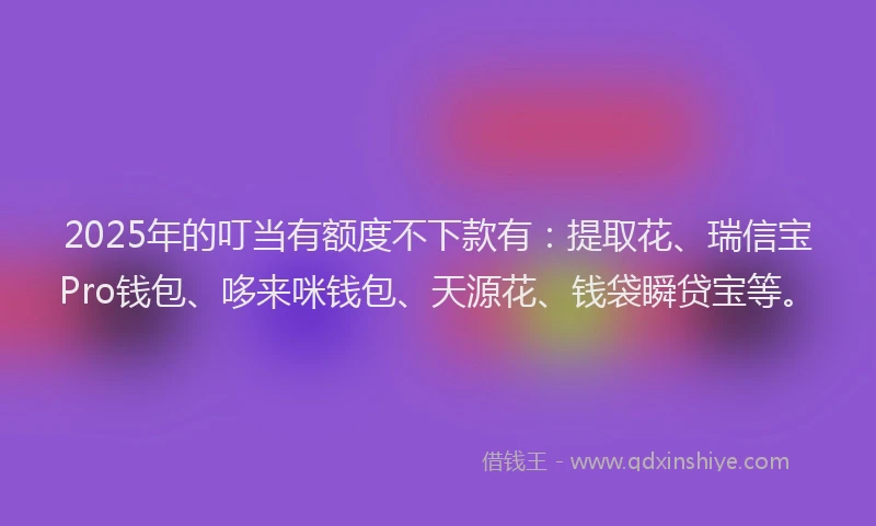2025年的叮当有额度不下款有：提取花、瑞信宝Pro钱包、哆来咪钱包、天源花、钱袋瞬贷宝等。
