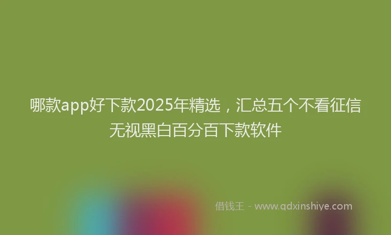 哪款app好下款2025年精选，汇总五个不看征信无视黑白百分百下款软件